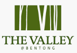 the valley logo